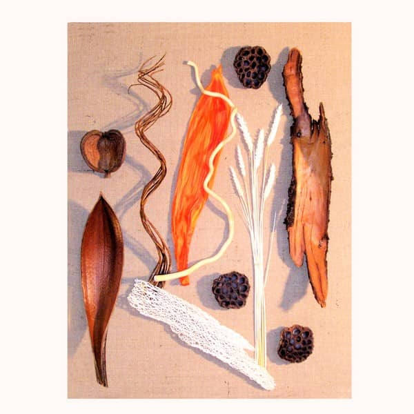 Tableau végétal - Ecorce